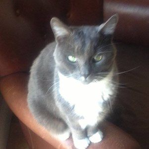 Meet your Posher, Terry